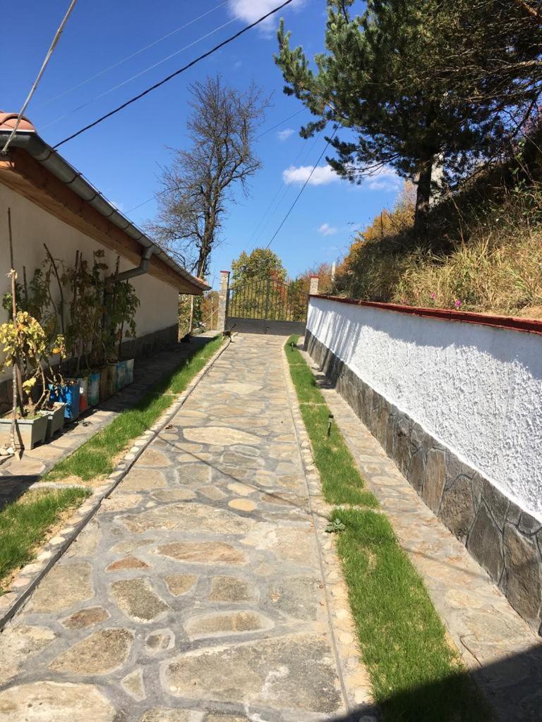 Cozy Home In Ardino Ngoại thất bức ảnh